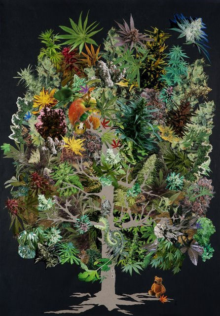 ARBOL de La CIENCIA..