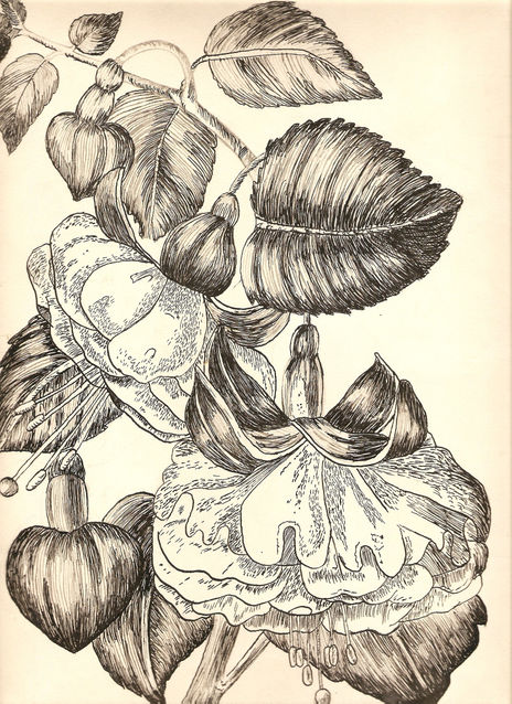 Flores