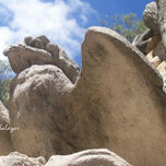 FOTOGRAFIA thumbnail 2
