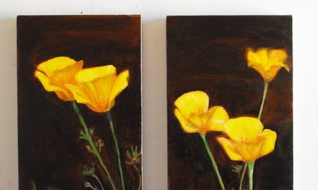 Flores