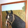 Animales thumbnail 1