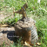 FOTOGRAFIA thumbnail 1