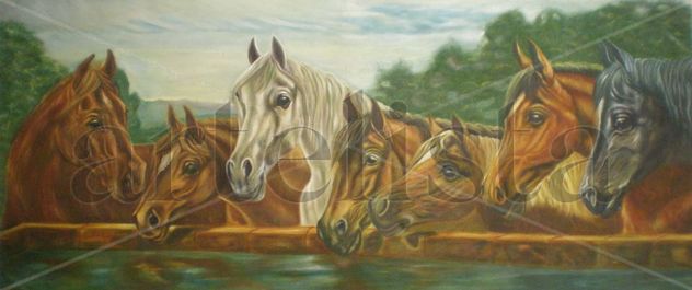 caballos