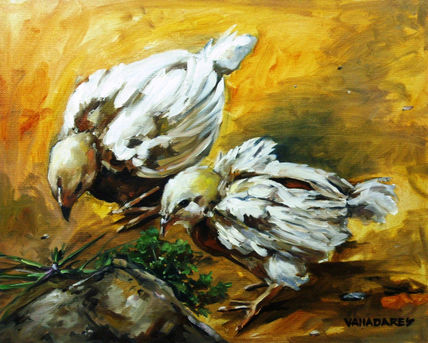 Pollos