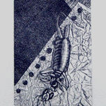 2008 thumbnail 2