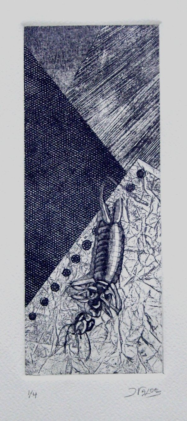 S/T