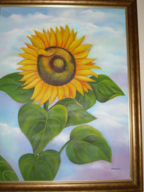 Girasol