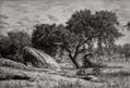 paisaje del rio Salor - caceres