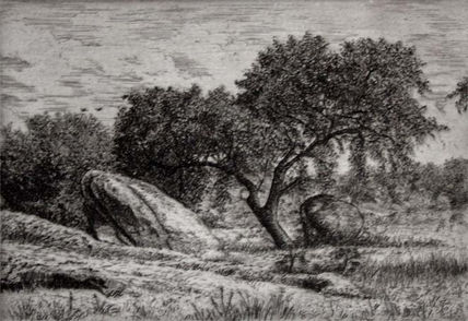paisaje del rio...