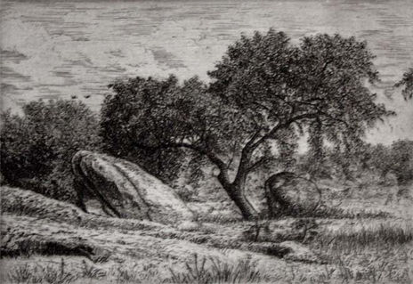 paisaje del rio...