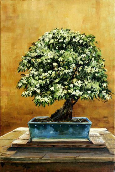 SERIE BONSAI Oil Canvas Landscaping