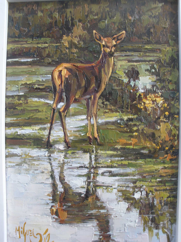 REFLEJOS.