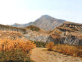 Rambla de Tabernas