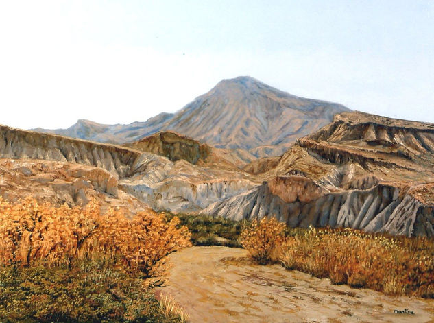 Rambla de Tabernas Óleo Lienzo Paisaje