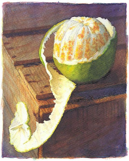 Evolucion Watercolour Paper Still Life Paintings