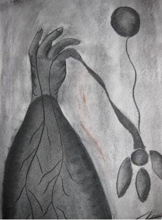 Raices