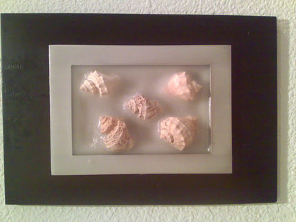 Caracolas