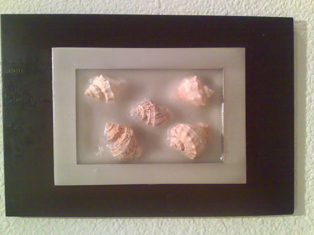 Caracolas