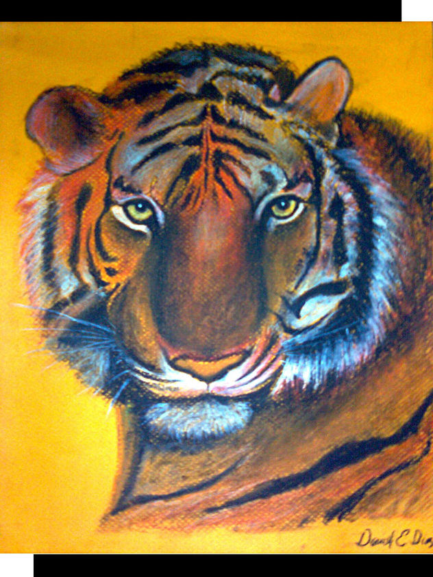 tigre