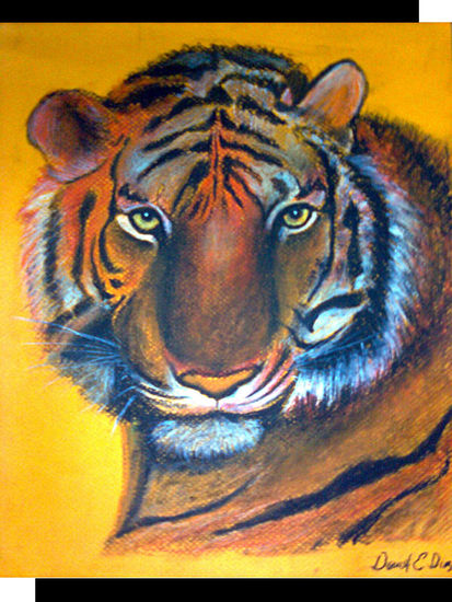 tigre Pastel Card Animals