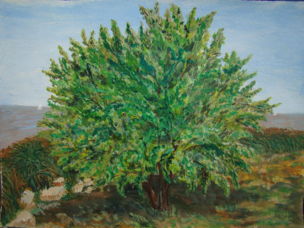 El arbol de la ribera