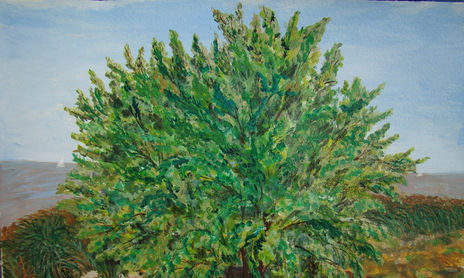 RESERVA ECOLOGICA