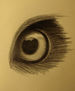 Ojos-Eyes-Yeux
