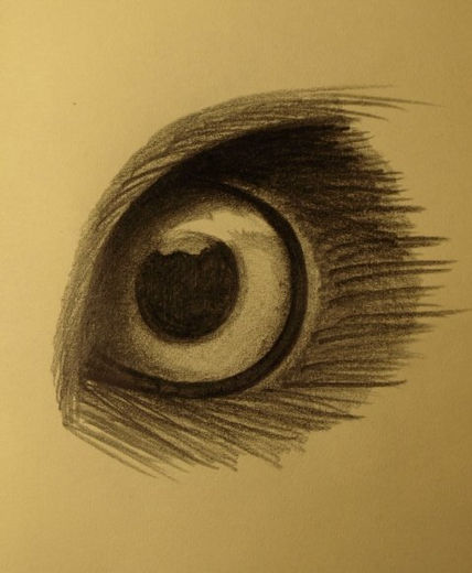 Ojos-Eyes-Yeux