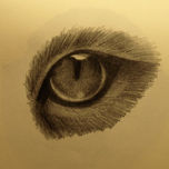 Ojos-Eyes-Yeux thumbnail 1