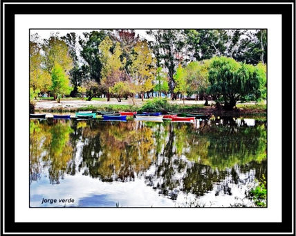 2010/f040   otoño...