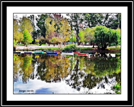 2010/f040   otoño...