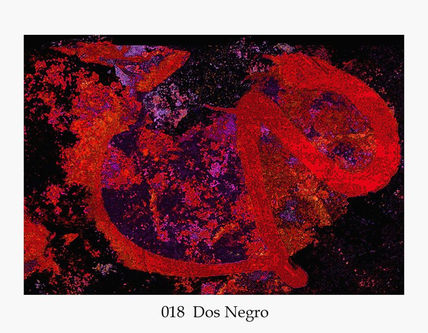018   Dos Negro