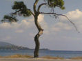 mallorca en imagenes