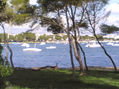 mallorca en imagenes
