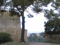 mallorca en imagenes