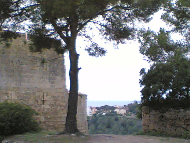 mallorca en imagenes