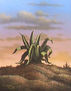 Maguey