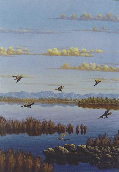 Patos al amanecer Oil Canvas Landscaping