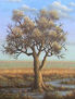 Arbol