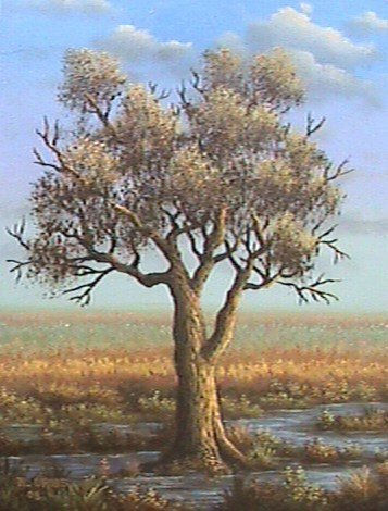 Arbol Oil Canvas Landscaping