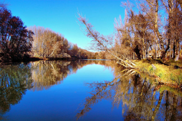 caminaré sobre las aguas Naturaleza Color (Digital)