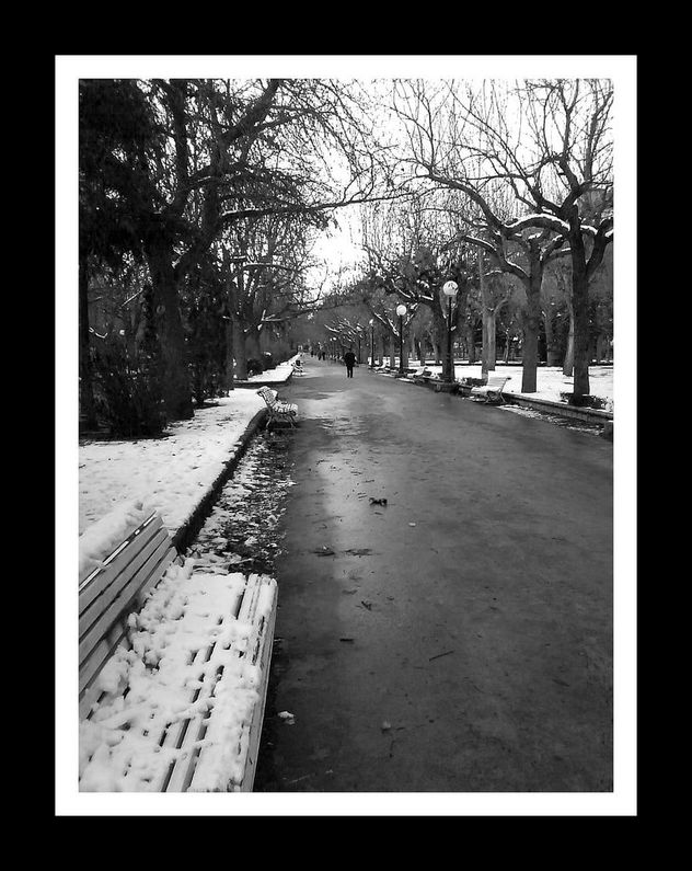 snow is coming to town