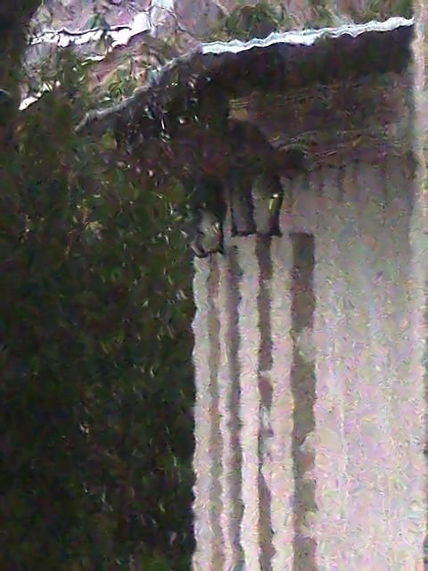 Lluvia