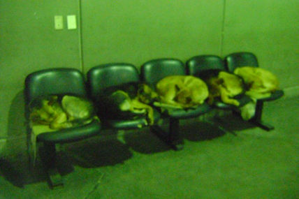 Aduana a cara de perro