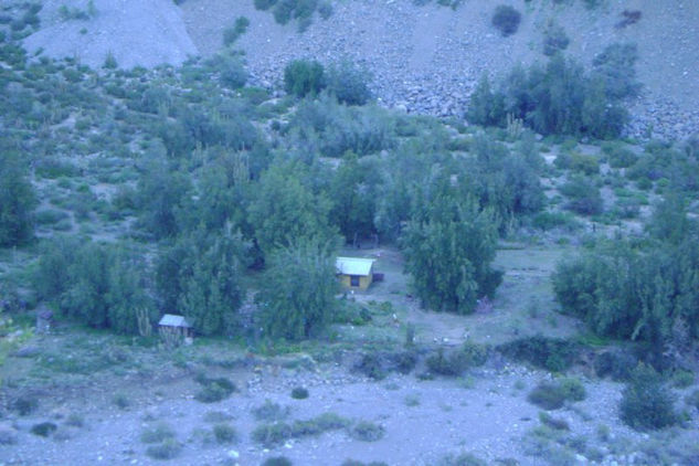 La soledad y el silencio 