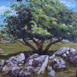 PAISAJES DE URUGUAY thumbnail 1
