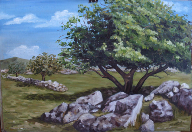 higuera Oil Canvas Landscaping