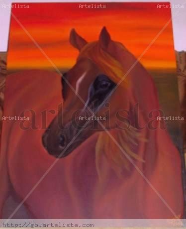 Caballo