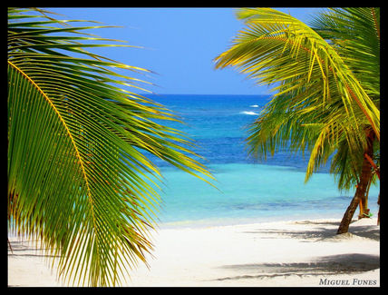 Mano Juan - Isla Saona
