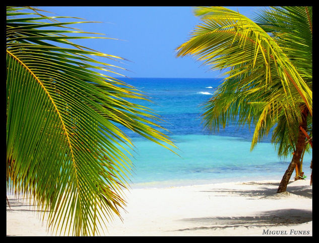 Mano Juan - Isla Saona Travel Color (Digital)